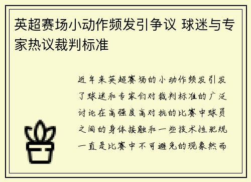 英超赛场小动作频发引争议 球迷与专家热议裁判标准